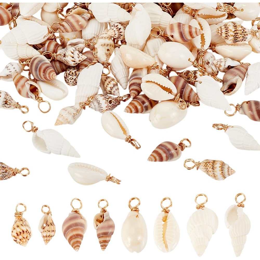 100pcs 4 Styles Natural Shell  - Jewelry Making Degree review and price