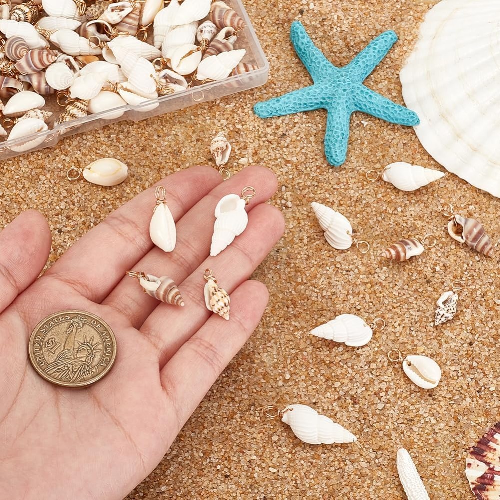 100pcs 4 Styles Natural Shell  - Jewelry Making Degree review and price