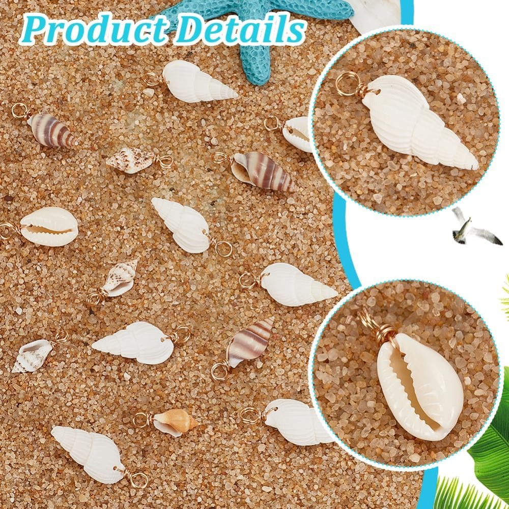100pcs 4 Styles Natural Shell  - Jewelry Making Degree review and price